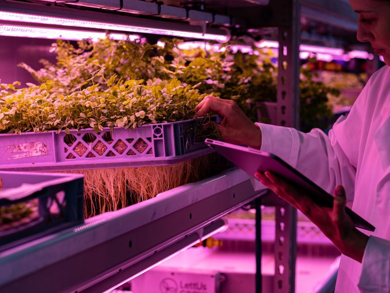 A woman in a white coat inspecting herbs growing in a shipping container