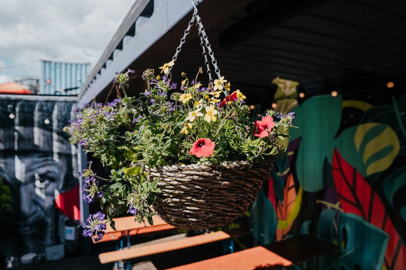 A hanging basket with red and yellow flowers hanging from a unit at Spark York