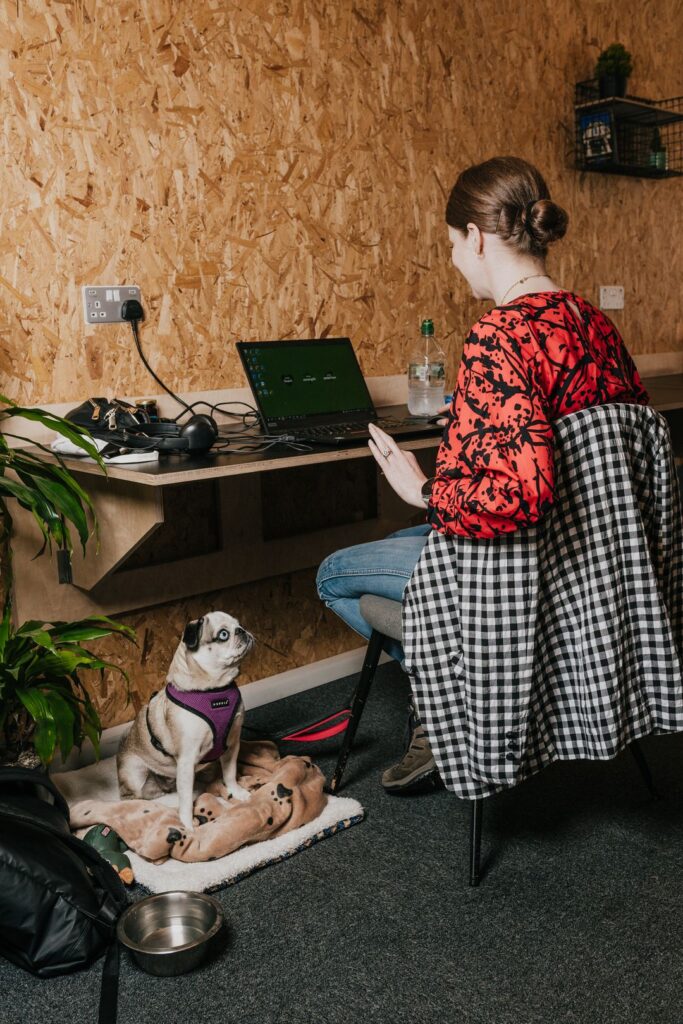 A woman sat at a co-working desk with a laptop open, whilst her dog sits on a dog bed below the desk.
