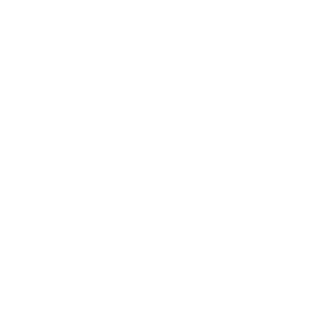 Picture of SPARK:York