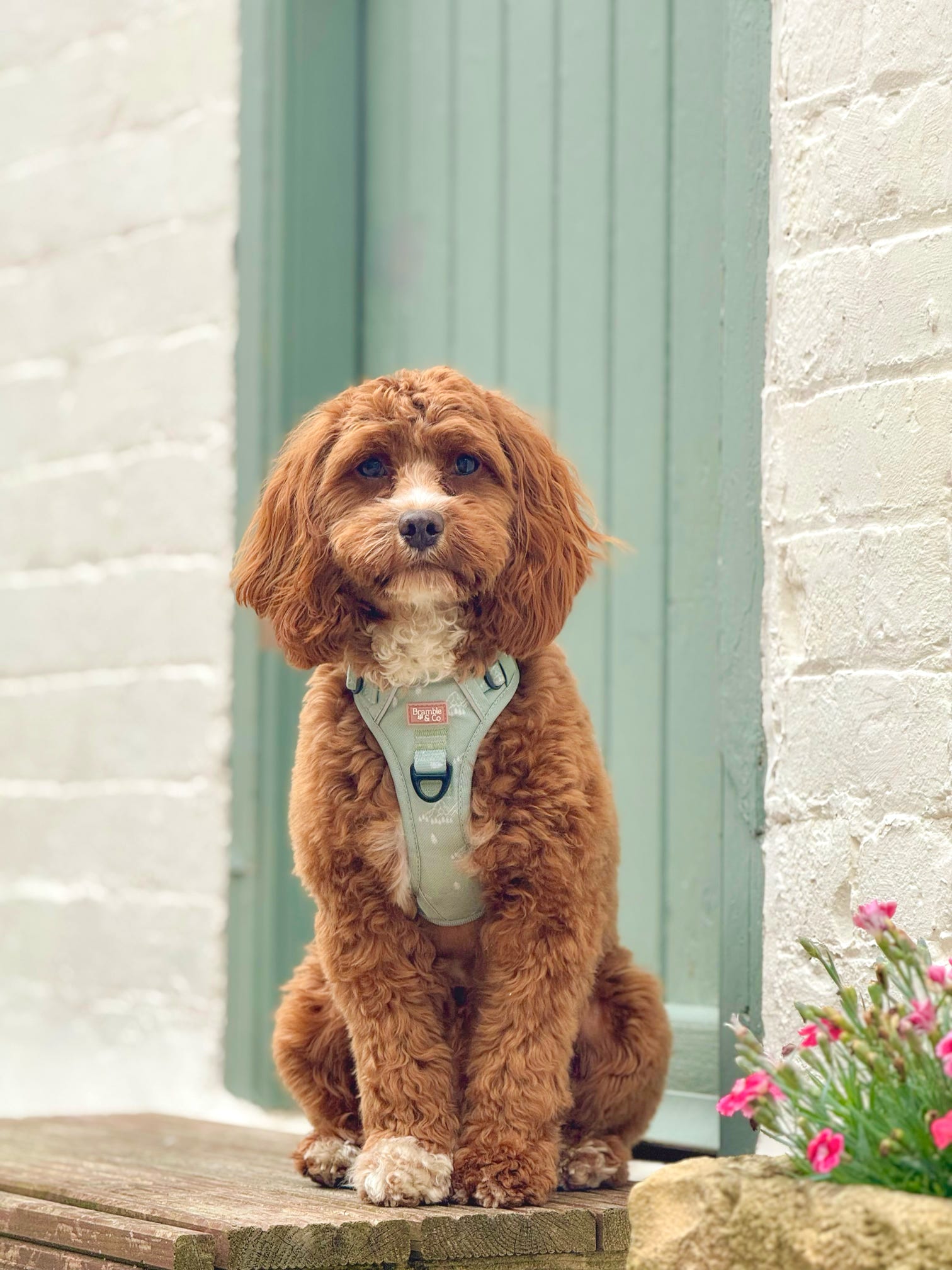 Bramble & Co Pop-Up - SPARK York
