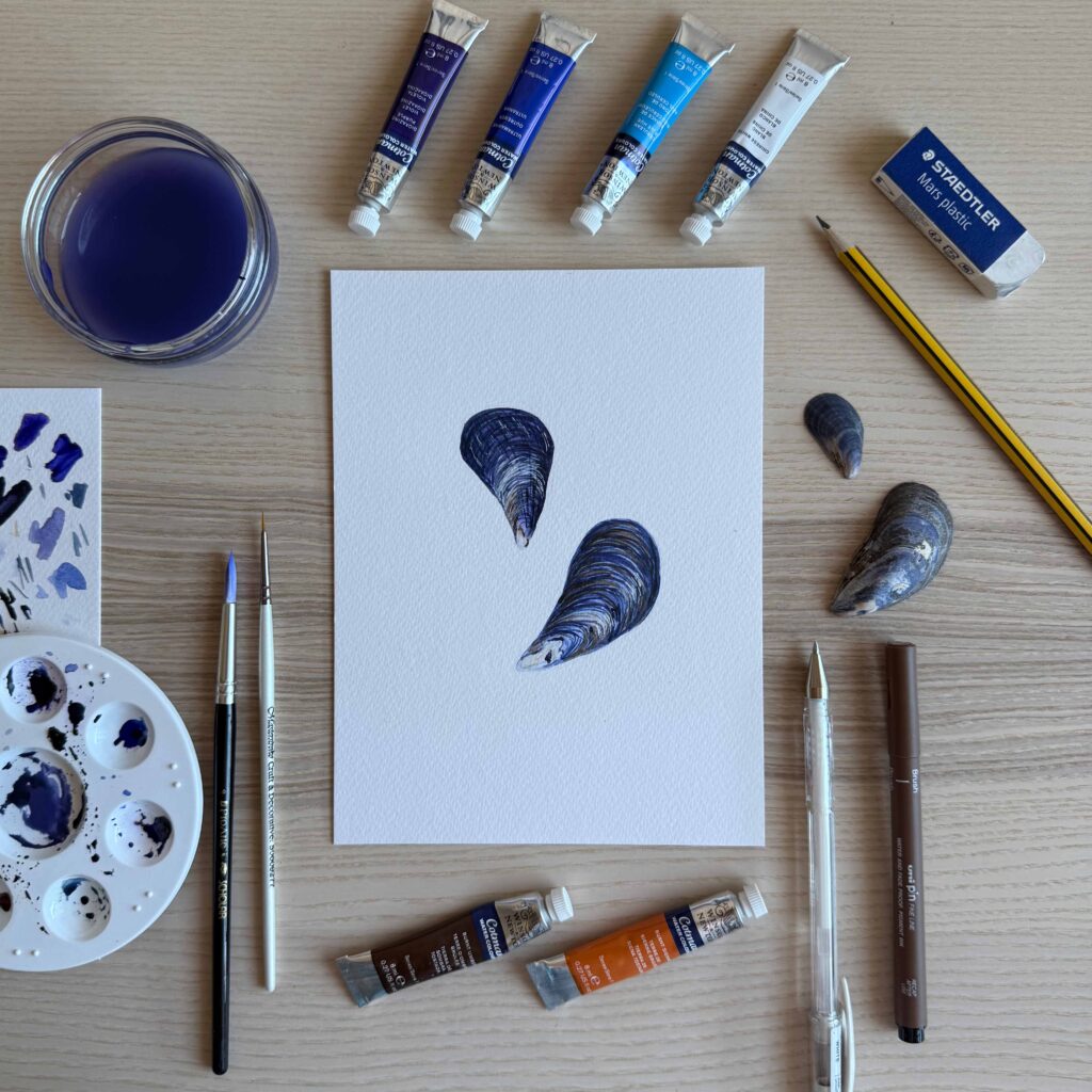 watercolour shell art