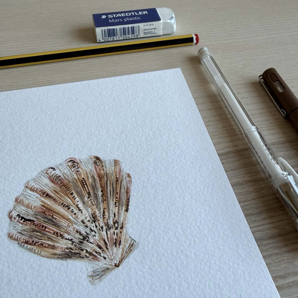 watercolour shell art